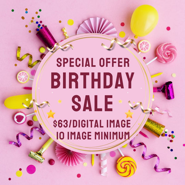 BIRTHDAY SALE - $63 / DIGITAL IMAGE